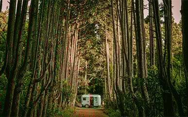 Jeju Island, the Magical Island Featured in “Welcome to Samdal-ri”