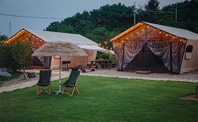 Popular Camping Spots Visited by Stars