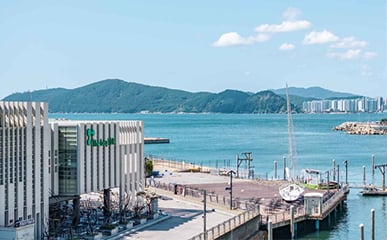 A Lively Family Adventure in Busan