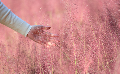 Fall Is a Season for Love in Hallyu, With Unique Landscapes Only Found in Autumn!