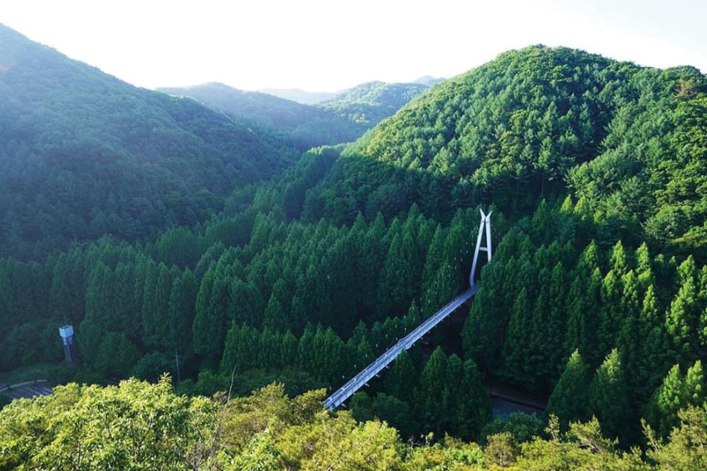 Jangtaesan Recreational Forest