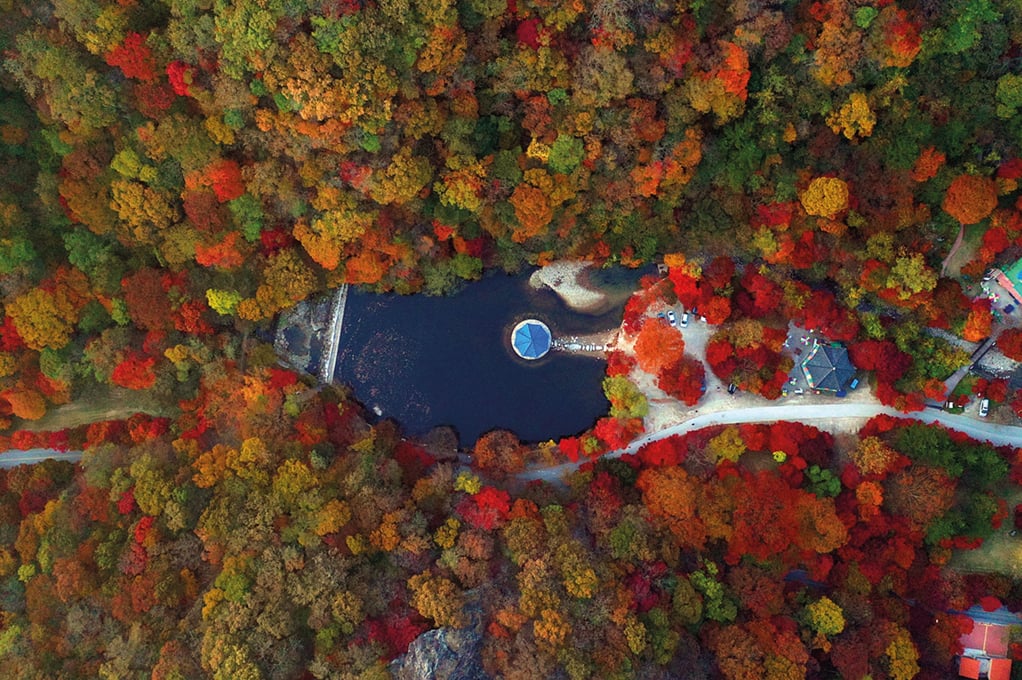 Naejangsan National Park