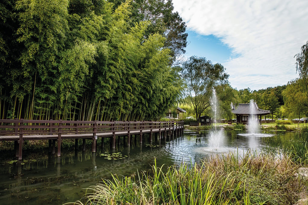Juknokwon (Bamboo Garden) / Gwanbangjerim Forest