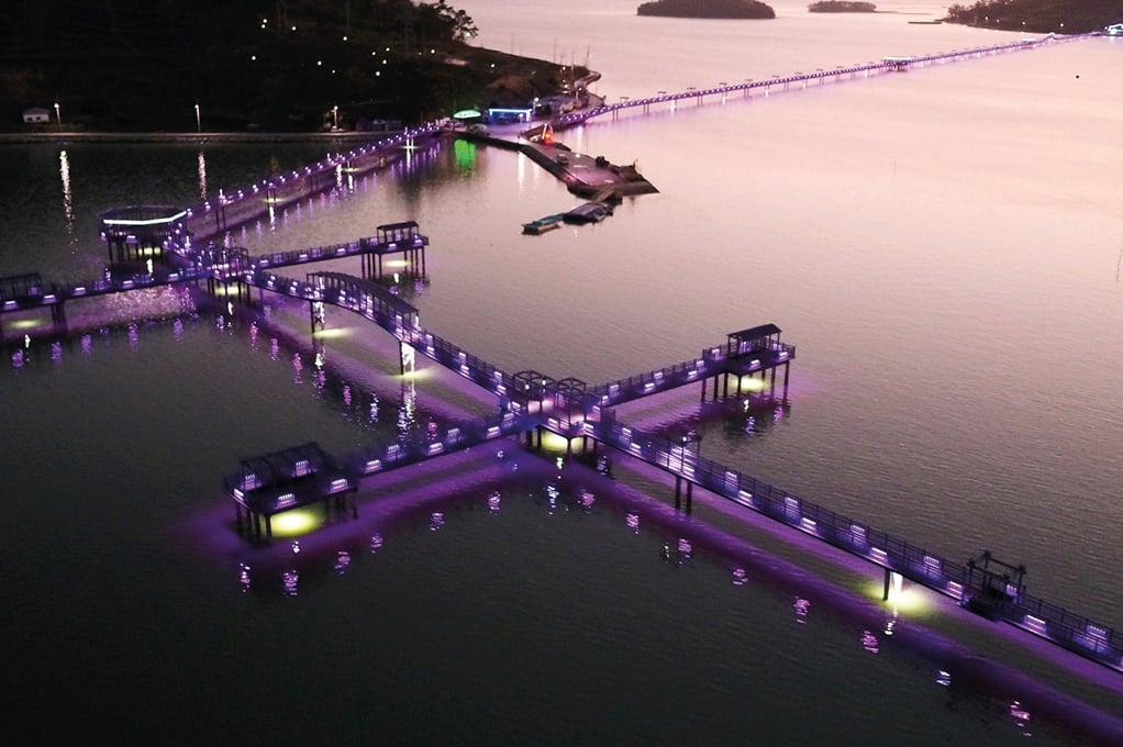 Purple Island