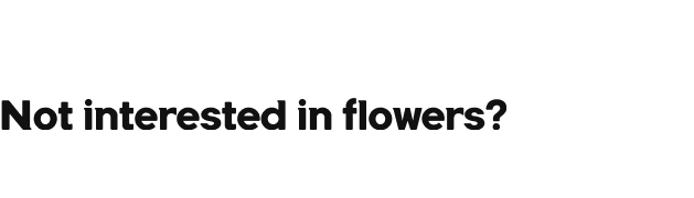  Not interested in flowers?