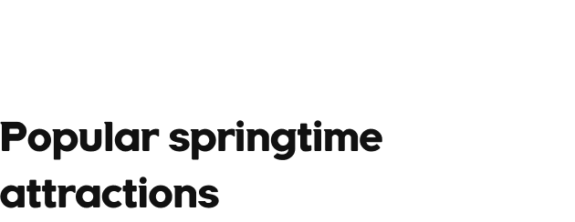 Popular springtime attractions