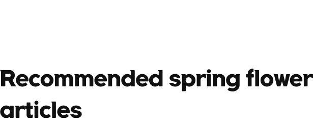  Recommended spring flower articles