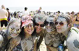Summer Festivals