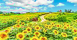 Flower Outing
