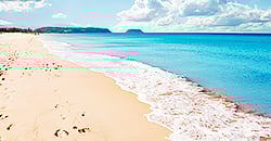 Beach Fun