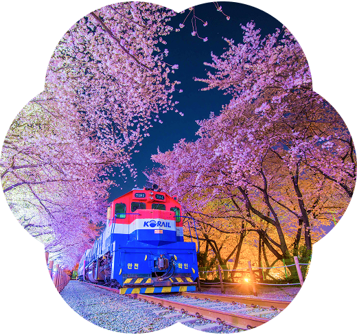 Jinhae Gunhangje Festival