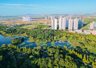 A Full Day of Fun and Entertainment in Goyang