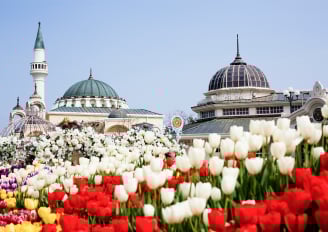 BTS in Yongin: A Must-Visit for Every ARMY