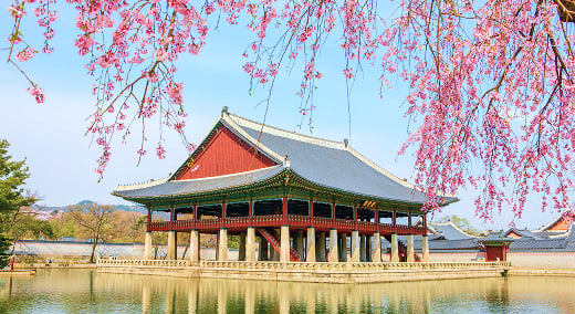 Kpop Demon Hunters: Culture & Travel