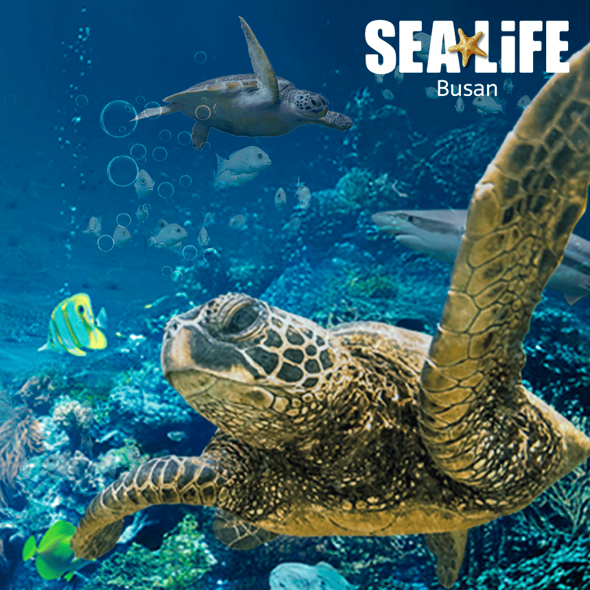 SeaLife Busan Aquarium