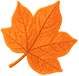 leaf