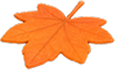 leaf