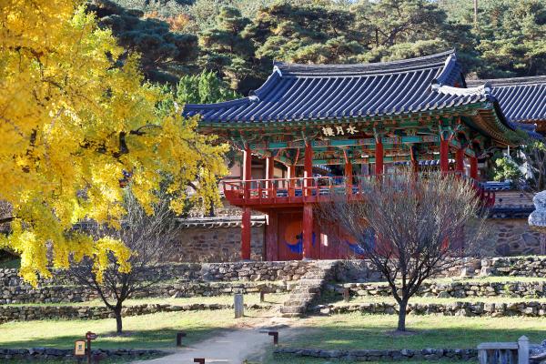 A trip where traditional beauty within nature coexists with advanced science and technology