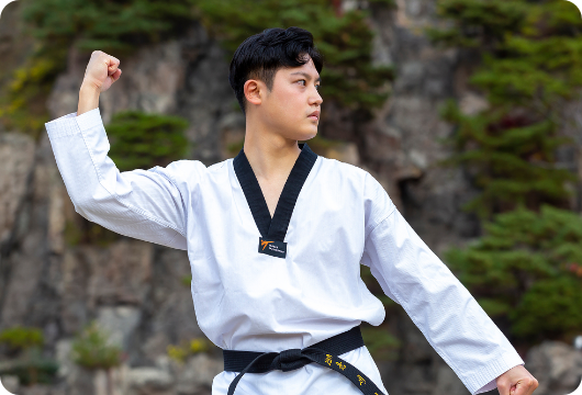 Taekwondo Programs