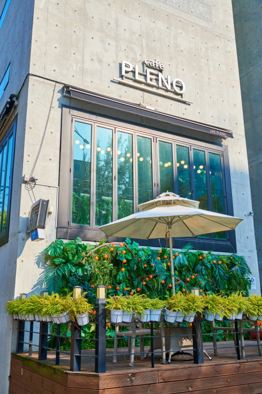 Café PLENO