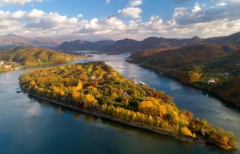 Take in the Vibes of Nami Island with a Fall Picnic