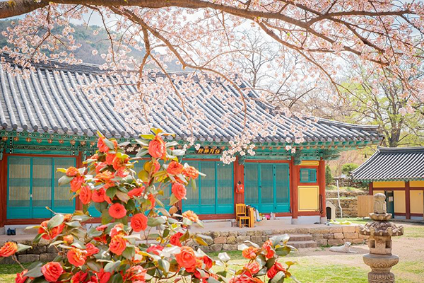 Step back in time with Gongju’s history and culture