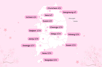 2025 Cherry Blossom Forecast