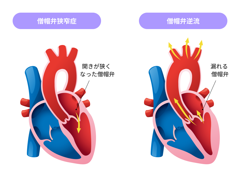 世界が認めるトップレベルの外科医、韓国の胸部心臓血管外科- 韓国観光