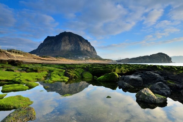Visit TOP 10 Jeju Destinations in Comfort with a Taxi Tour