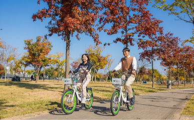 Bicycling Destinations Along K-Content, Even the Celebrities Are Doing It!