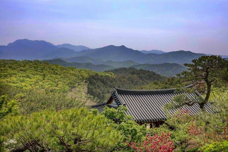 Tradition Meets Modernity in Medical Tourism<br>— Daegu & Gyeongsangbuk-do