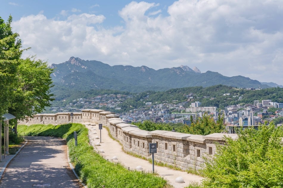 High Accessibility – Plastic Surgery