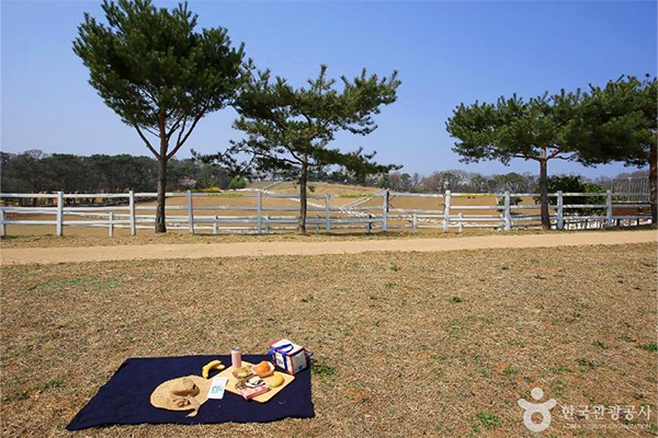 Urban Relaxation & Rejuvenation in Goyang