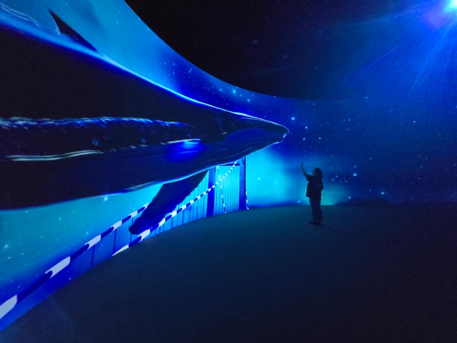 Ulsan - What a Ulsan