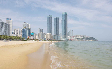 A Lively Family Adventure in Busan