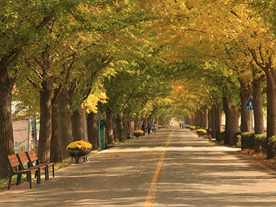 #K-Autumn