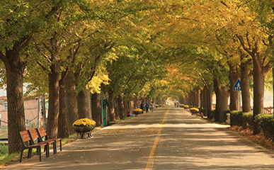 Fall Is a Season for Love in Hallyu, With Unique Landscapes Only Found in Autumn!