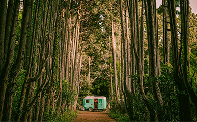Jeju Island, the Magical Island Featured in “Welcome to Samdal-ri”