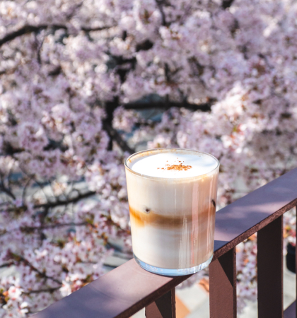 Cafe A.nook's signature menu is Cafe Latte