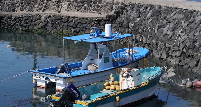 Small ships anchored in the harbor