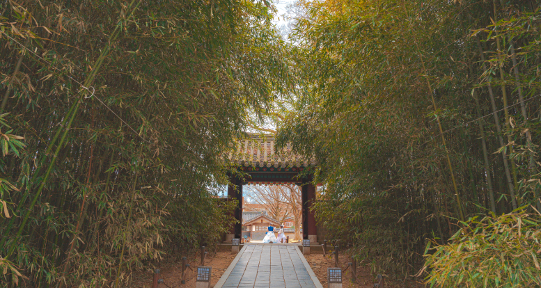 Popular shooting spot for nature, Gyeonggi-jeon shrine