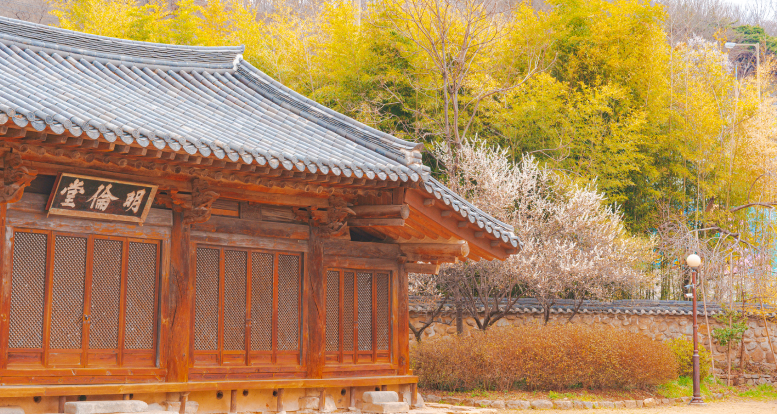 Jeonju Hyanggyo, a national educational institution from the Joseon Dynasty where you can enjoy natural scenery