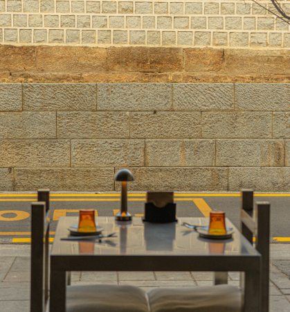 Daramgee looking outside and enjoying the scenery