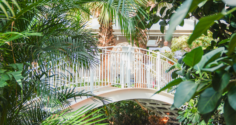 Forest Outings Songdo branch decorated with the theme of a forest garden