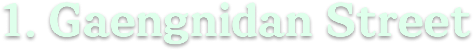 1. Gaengnidan Street