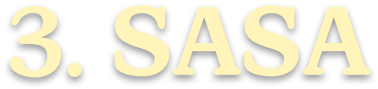 3. SASA