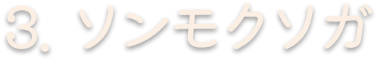 3. ソンモクソガ