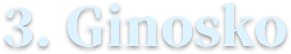 3. Ginosko
