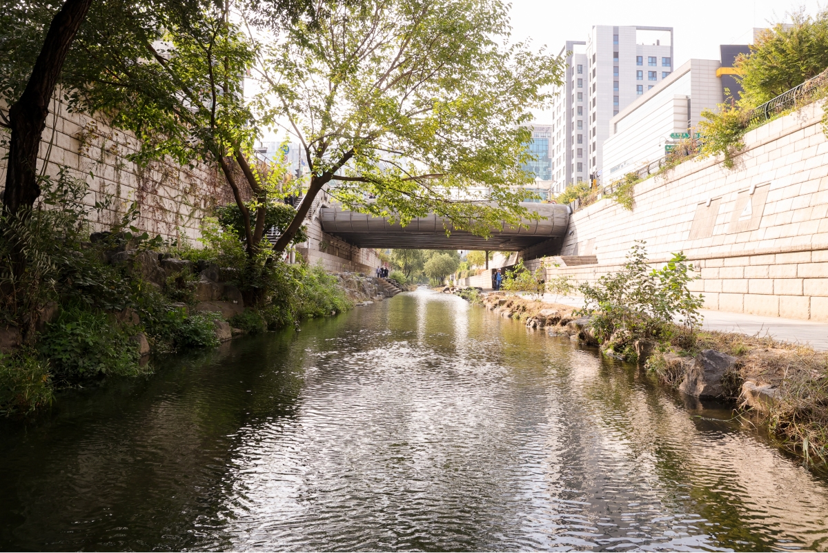 Cool view of Cheonggyecheon Stream