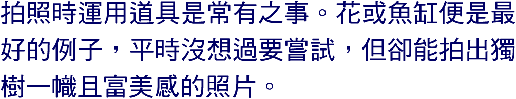 拍照時運用道具是常有之事。花或魚缸便是最好的例子，平時沒想過要嘗試，但卻能拍出獨樹一幟且富美感的照片。